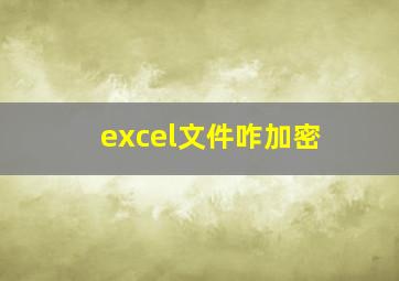 excel文件咋加密