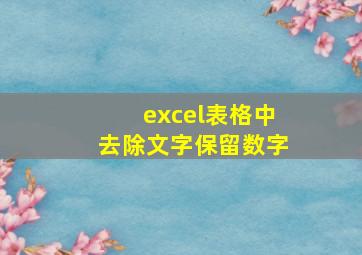 excel表格中去除文字保留数字