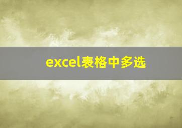 excel表格中多选