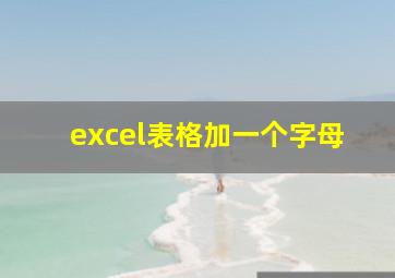 excel表格加一个字母