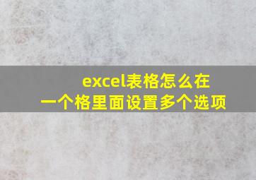 excel表格怎么在一个格里面设置多个选项