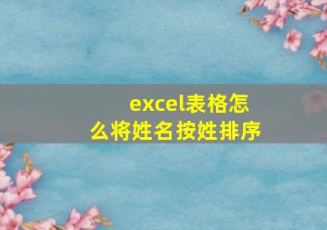 excel表格怎么将姓名按姓排序