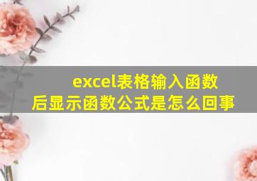 excel表格输入函数后显示函数公式是怎么回事