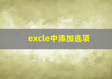 excle中添加选项