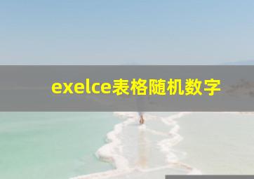 exelce表格随机数字