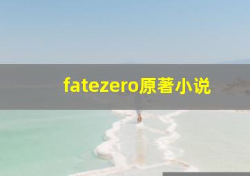 fatezero原著小说