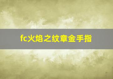 fc火焰之纹章金手指