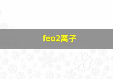 feo2离子