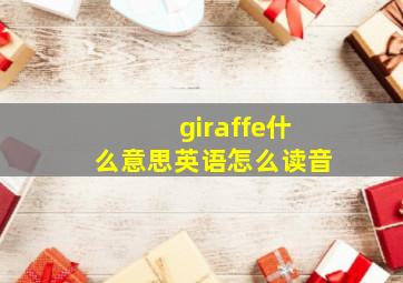 giraffe什么意思英语怎么读音