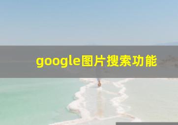 google图片搜索功能