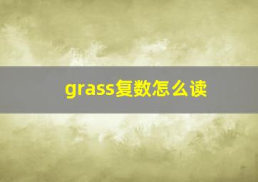 grass复数怎么读