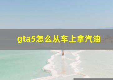 gta5怎么从车上拿汽油