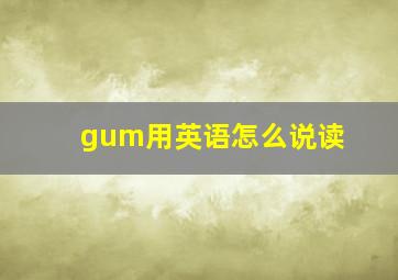 gum用英语怎么说读