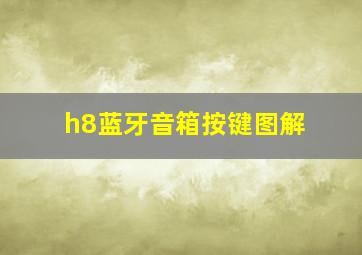 h8蓝牙音箱按键图解