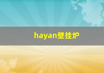 hayan壁挂炉