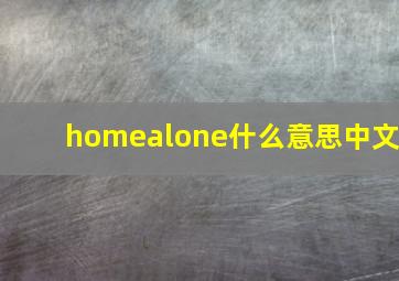 homealone什么意思中文