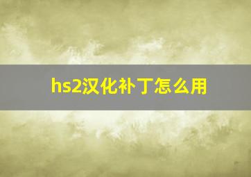 hs2汉化补丁怎么用