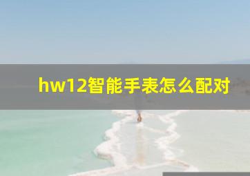 hw12智能手表怎么配对