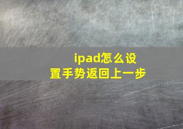 ipad怎么设置手势返回上一步