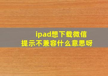 ipad想下载微信提示不兼容什么意思呀