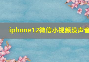 iphone12微信小视频没声音