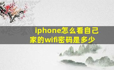 iphone怎么看自己家的wifi密码是多少