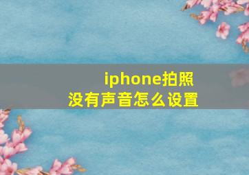 iphone拍照没有声音怎么设置