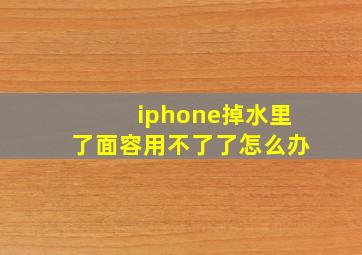 iphone掉水里了面容用不了了怎么办