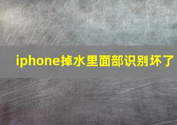 iphone掉水里面部识别坏了