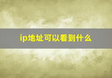 ip地址可以看到什么