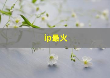 ip最火