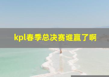 kpl春季总决赛谁赢了啊