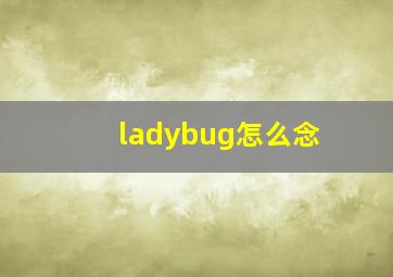 ladybug怎么念