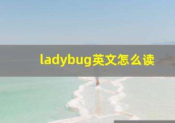 ladybug英文怎么读