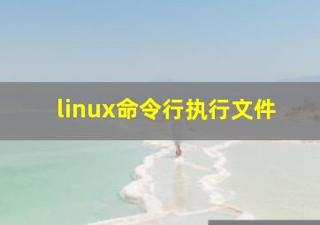 linux命令行执行文件