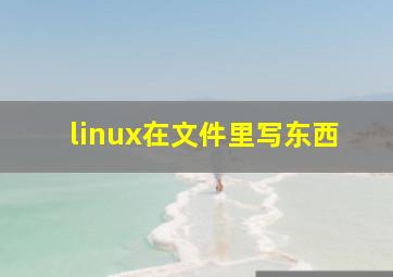 linux在文件里写东西