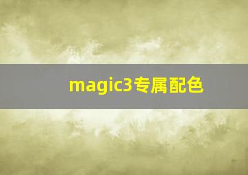 magic3专属配色