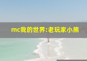 mc我的世界:老玩家小熊