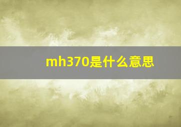 mh370是什么意思