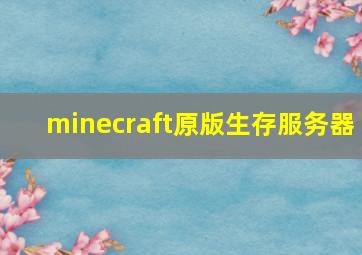 minecraft原版生存服务器