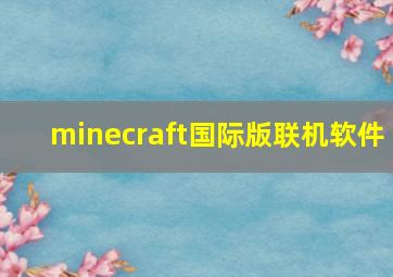 minecraft国际版联机软件