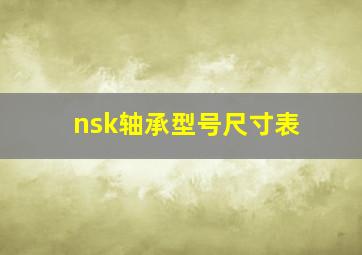 nsk轴承型号尺寸表