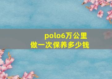 polo6万公里做一次保养多少钱