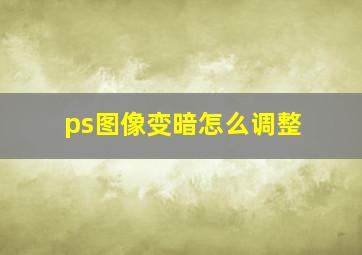 ps图像变暗怎么调整