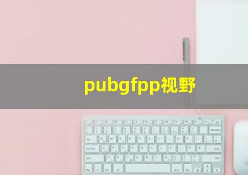 pubgfpp视野