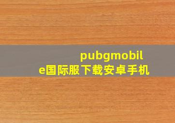 pubgmobile国际服下载安卓手机