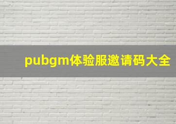 pubgm体验服邀请码大全