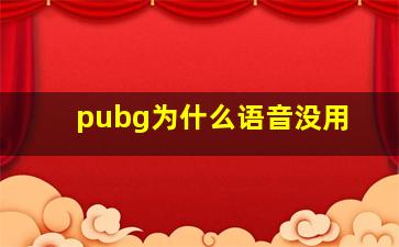 pubg为什么语音没用