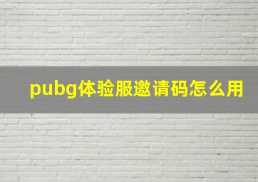 pubg体验服邀请码怎么用