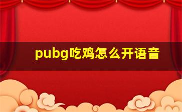 pubg吃鸡怎么开语音